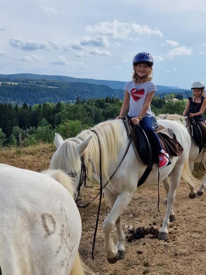 Chez Hervé le Châtelet La Chaux Neuve Kültér fotó